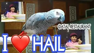 DINNER @ATAL RESTAURANT IN HAIL CITY,SAUDI ARABIA.RAMADAN CHILL OF A DOMESTIC HELPER IN SAUDI.