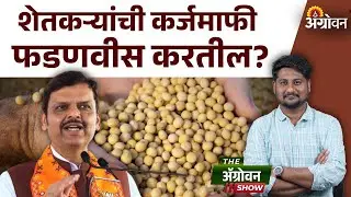 Farmer Karjmafi: महायुती आणि महाविकास आघाडीकडून शेतकऱ्यांना कर्जमाफीचं आश्वासन | Farmer loan Waiver