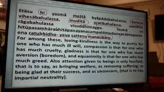 Path Of Purification (About Concentration - Part-132) (9-4-2023)