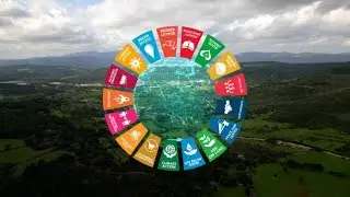 SDG Goals And Why We Need Them In Our Daily Life