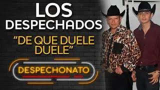 Los Despechados - De Que Duele, Duele (Letra) | M&uacute;sica Para Tomar