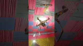 Dji Phantom 4 Drone Experiment By Camera Zone Raxaul #13 #viral #dronerepairing