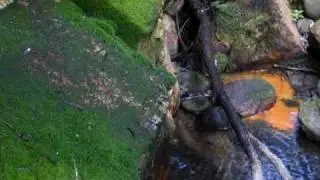 Carnarvon Gorge Preview - Virtual Walkabout, Carnarvon National Park, Outback Queensland, Australia