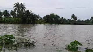 Nivar Cyclone Damages Part 1