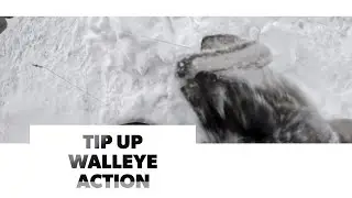 Ice fishing walleye action on the morning and evening prime time bite!