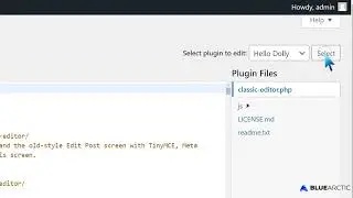 How to Forcefully Update or Reinstall a WordPress Plugin   BLUE ARCTIC