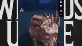 Wizards unite talk and play