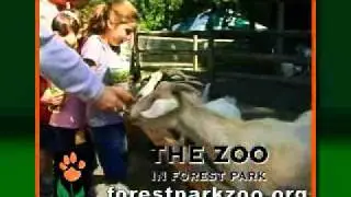 The Zoo in Forest Park