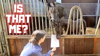 Wow! That is beautiful!! Don't you agree, Sanne? Friesian Horses