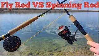 Fly Rod VS Spinning Rod! | McVinnie Trout Pond Southern Alberta