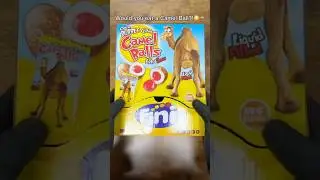 🐫😳Would you scran a CAMEL BALL?!😳🐫 #shorts