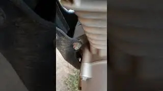Barulho de biela batendo isso aconteceu por falta de &oacute;leo titan 150✌️😀