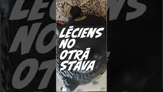 🐱🟢 Lēciens starp pasaulēm, mūsu dzīvi un to iemūžinā&scaron;anu #kanvas #kakis #drukulv #uzlimes #printet
