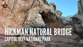 Best Hikes in Capitol Reef National Park: Hickman's Natural Bridge