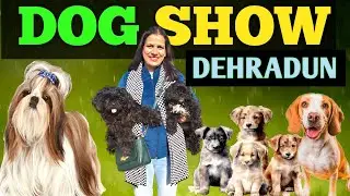 DOG SHOW IN DEHRADUN | DOG SHOW 2023
