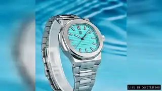 PAGANI DESIGN 1728 men's Watch Luxury Retro Mechanical Watch Men's Gift AR Sapphire Crystal Luminous