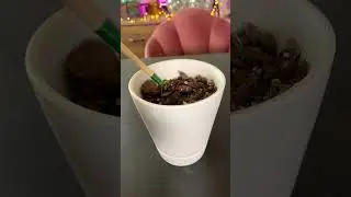 Самый БЕЗУМНЫЙ карандаш на Земле✏️#шорты