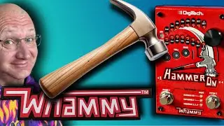 ARE YOU HIGH YET? Digitech Hammer On Review