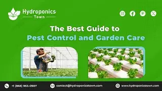 The Best Guide to Pest Control and Garden Care - Hydroponics Town