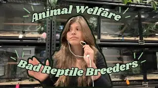 Husbandry, Ethics, & Bad Reptile Breeders | The Jurassic Wildlife Podcast