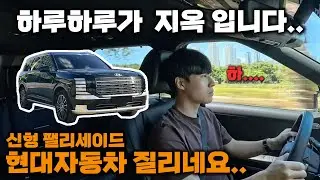 신형 팰리세이드 오너가 겪고 있는 문제들 l 현대자동차 결함 l 풀체인지 LX3