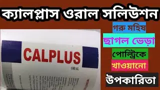 Calplus oral solution for cows goat sheep & poultry গরু ছাগল ভেড়া ও পোল্ট্রিকে কেন খাওয়াতে হয় 🐄🐏🐐🐂