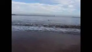 boxing day dip 2009