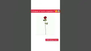 rose plant ki approximate age kya hoti hai 🤔😱 #MSK Biology #shorts