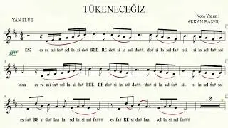 TÜKENECEĞİZ sezen aksu YAN FLÜT notaları EŞLİKLİ.