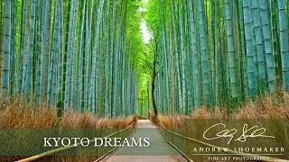 Andrew Shoemaker Photography: Kyoto Dreams
