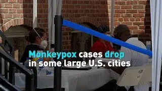 Monkeypox cases drop in some large U.S. cities