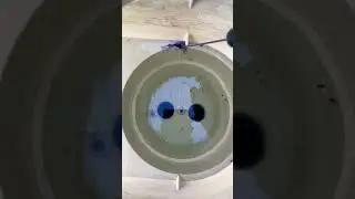 Small crack in the pool skimmer identified and fixed by #aquaptch