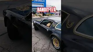🤠 The Bandit has Arrived 🦅 1977 Black/Gold Pontiac Trans Am 6.6 400 V8 at Bachmann Chevy Car Show