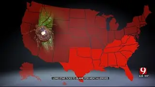Medical Minute: Lone Star Ticks And Meat Allergies