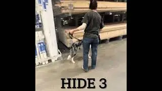 (1/14/26) Nose Work (Lowe’s)