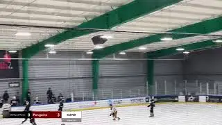 Gulf Coast Flames  Vs Dallas Penguins