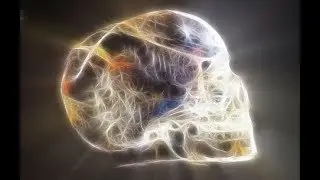 Chet Snow ob Past Lives, Crop Circles, Crystak Skulls +