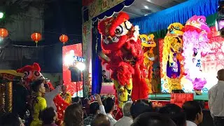 Best Lion and Dragon dance  2025 by Hai Nam Lien Huu | Hai Nam pagoda | Lunar New Year festival