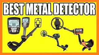 Top 5 Best Metal Detector in 2024