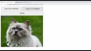 React copy paste images to clipboard