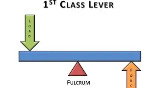 1st Class Lever Video