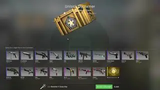 5x gamma 2 case