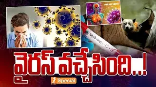 వైరస్ వచ్చేసింది.! | Nipah Virus Alert in West Bengal | How Dangerous Is Nipah Compared to Corona?