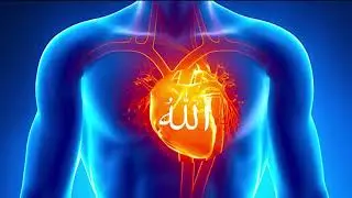 الله الله الله الله الله الله 