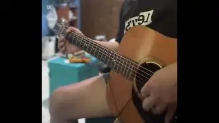 Kurt Cobain MTV Unplugged Pickup