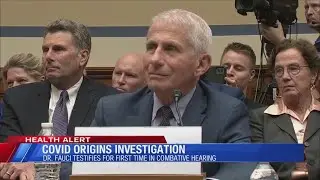 COVID origins investigations