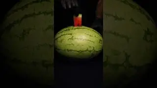Ultra Pro  Watermelon