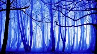 Nathan-Frozen Forests