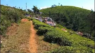 2.5 Acre Tea Estate for sale in Coonoor | Scenic Property in Coonoor