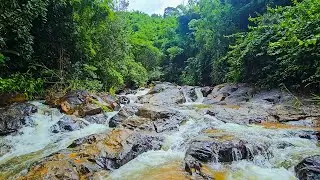 Forest Waterfall Flowing Over Rocky Stream